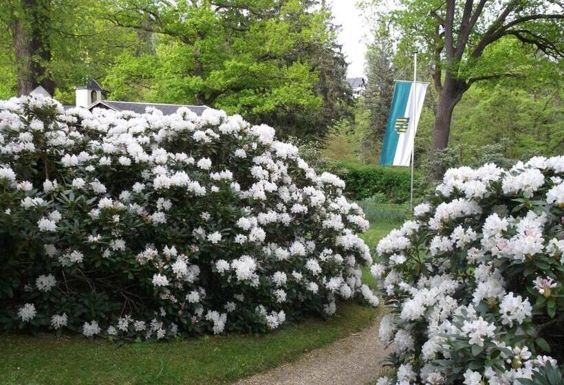 ペンション Kurheim Haus Linde