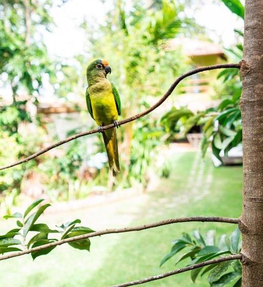 膳宿费 Pousada Casa Das Janas Trancoso