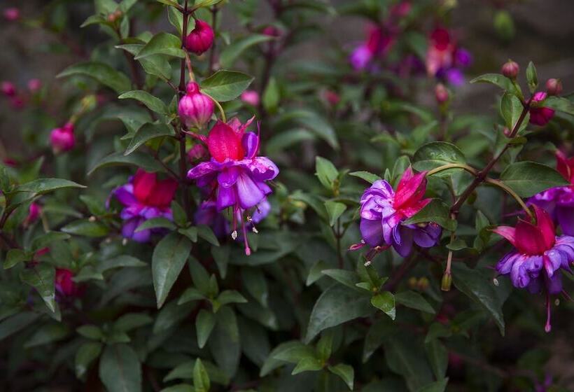 Hotel Rural Casona De La Paca