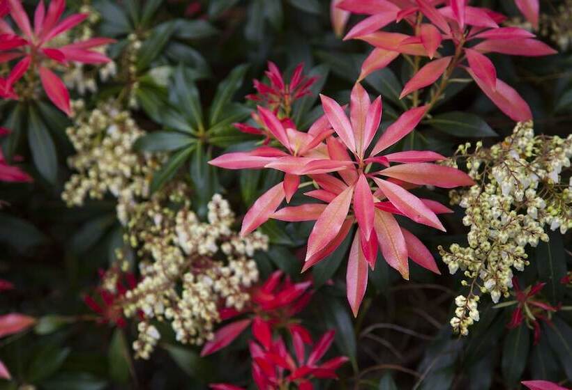 Hotel Rural Casona De La Paca