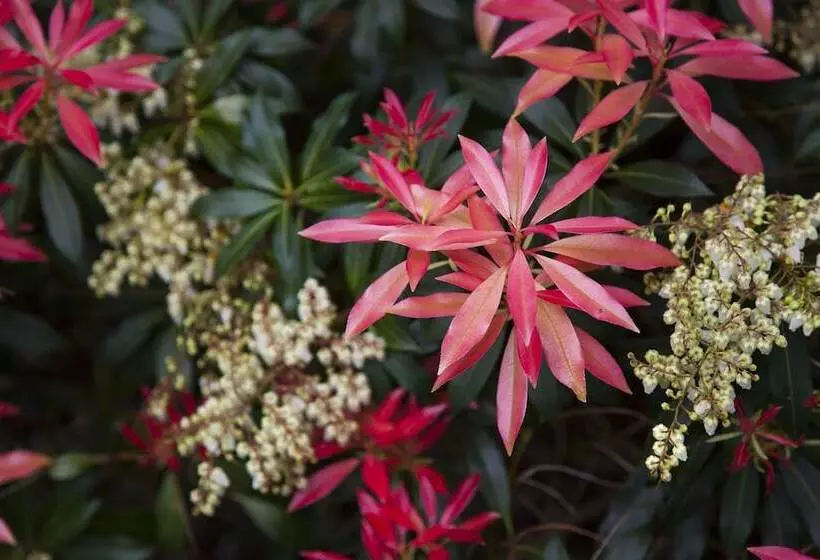 هتل روستایی Casona De La Paca