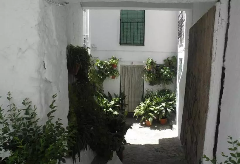 Сельский отель Juan Francisco