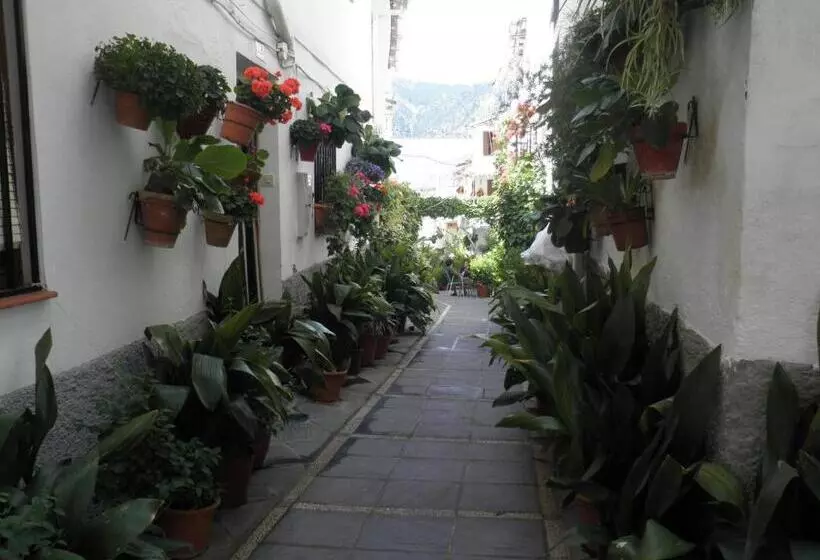 Сельский отель Juan Francisco