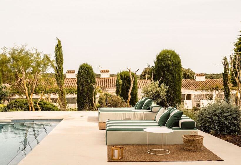 Morvedra Nou Luxury Boutique Hotel   Adults Only