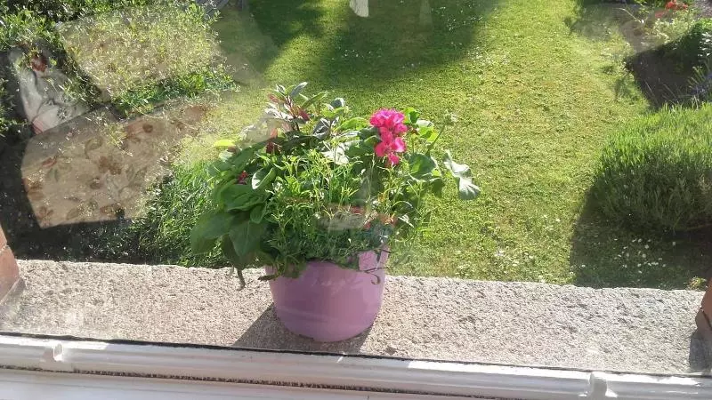 酒店 St. Aiden's Guesthouse