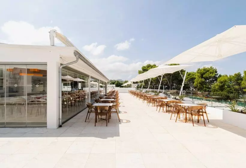 Thb Naeco Ibiza   Adults Only