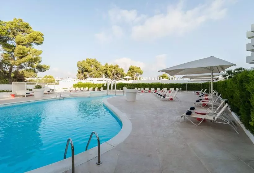 Thb Naeco Ibiza   Adults Only