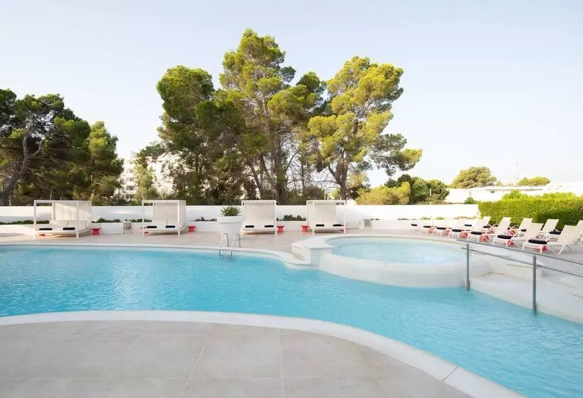 Thb Naeco Ibiza   Adults Only