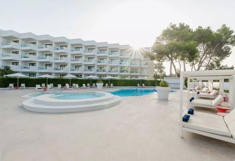 Thb Naeco Ibiza   Adults Only