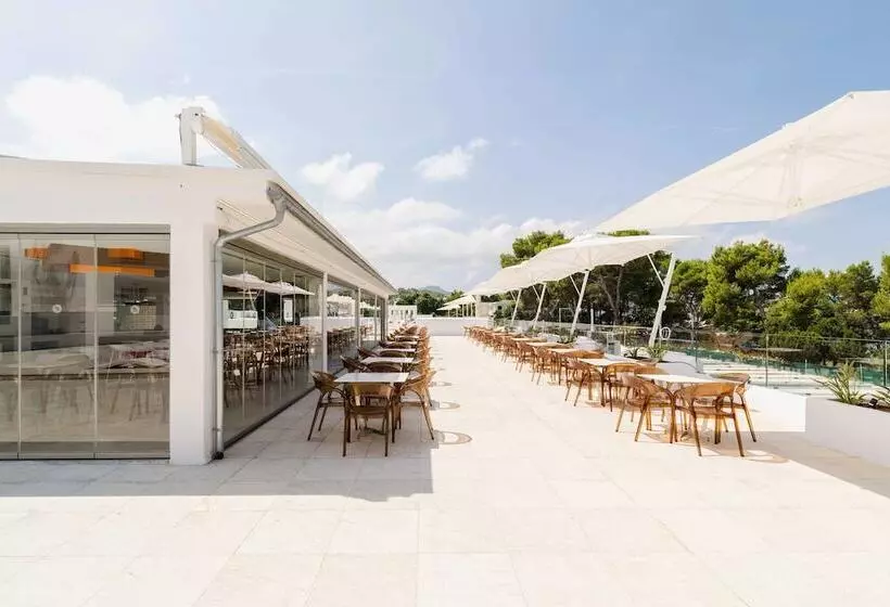 Thb Naeco Ibiza   Adults Only