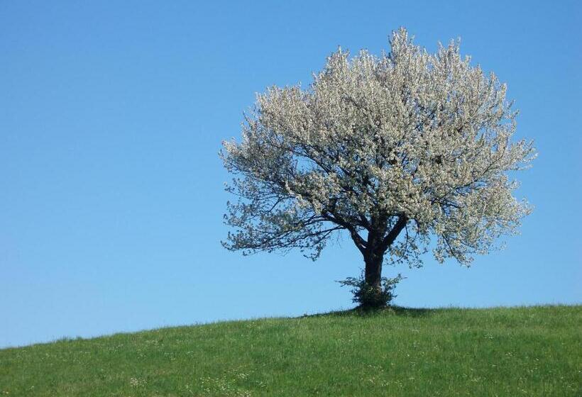 Общежитие Gasthof Zur Linde