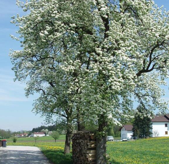 Общежитие Gasthof Zur Linde