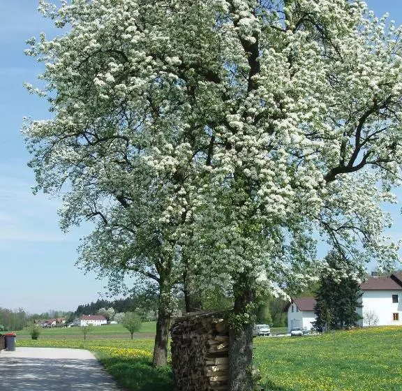 Retkeilymaja Gasthof Zur Linde