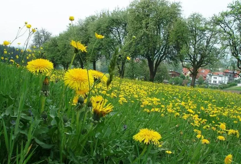 Retkeilymaja Gasthof Zur Linde