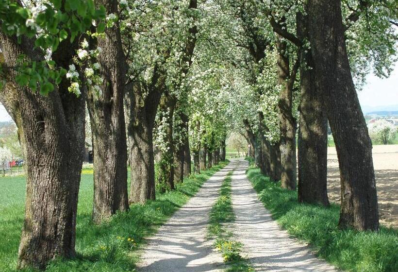 Общежитие Gasthof Zur Linde