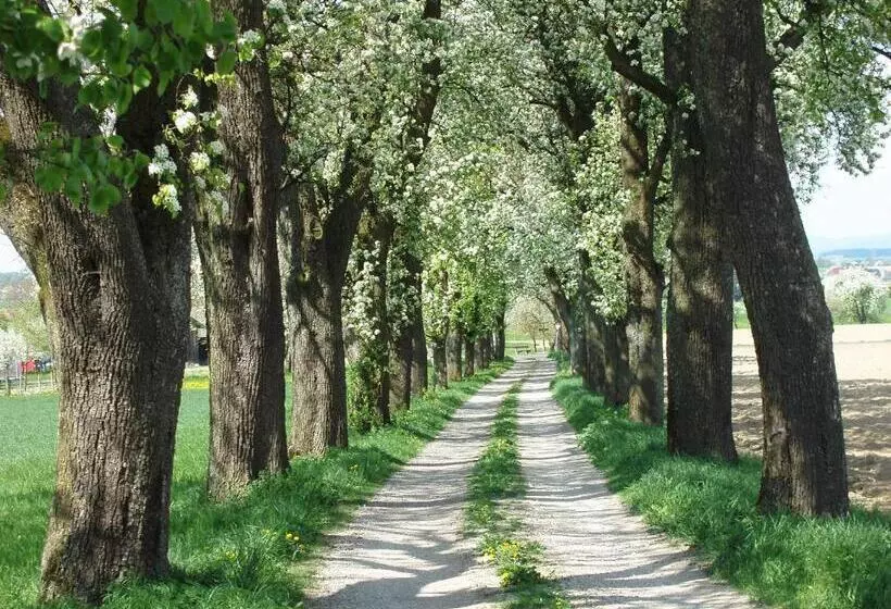 Retkeilymaja Gasthof Zur Linde