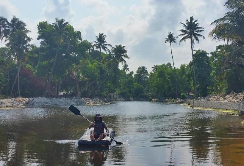 مبيت وإفطار Funky Art Beach House