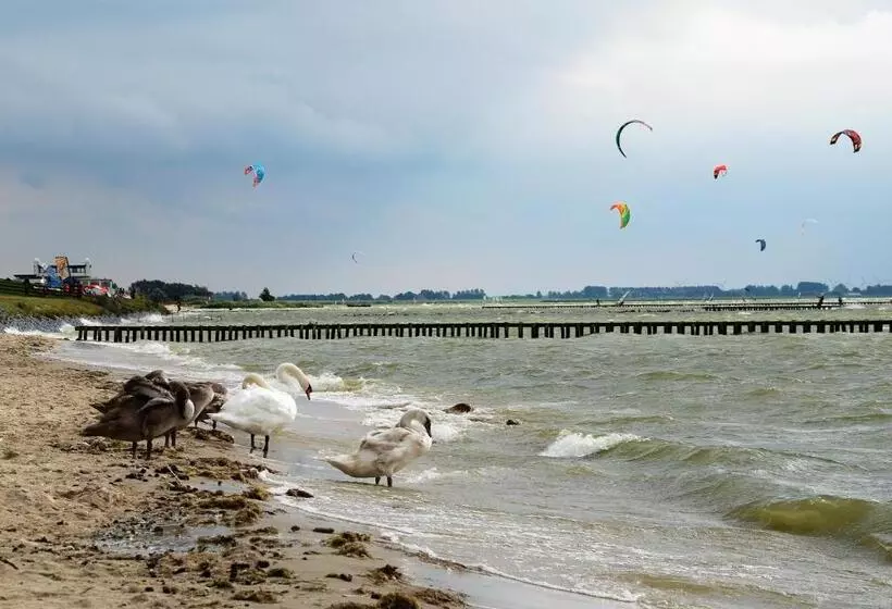 تختخواب و صبحانه Uit Alle Windstreken