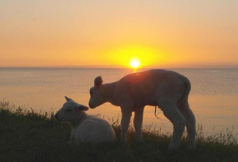 住宿加早餐 Uit Alle Windstreken
