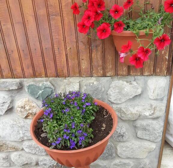 Отель Chalet Monte Nebius