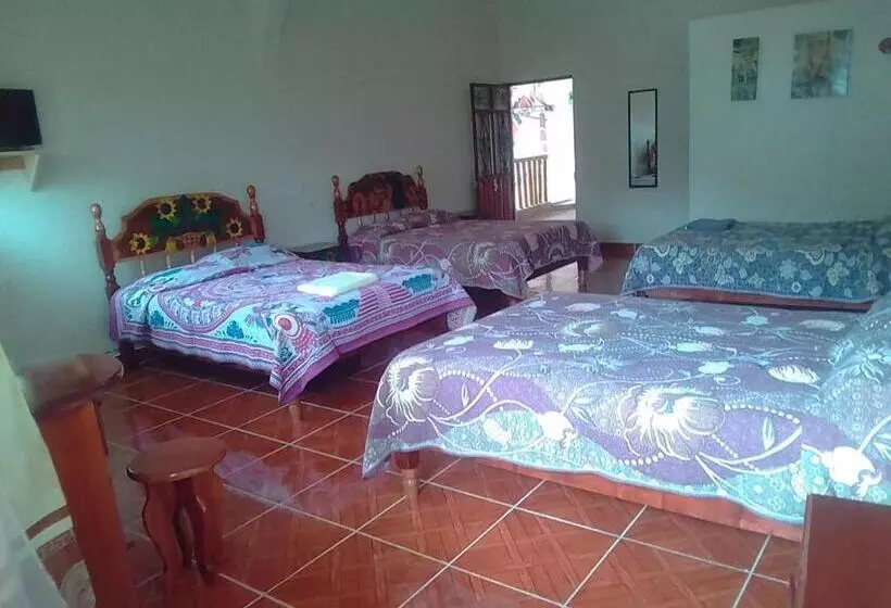 ホテル Cuaupatanini