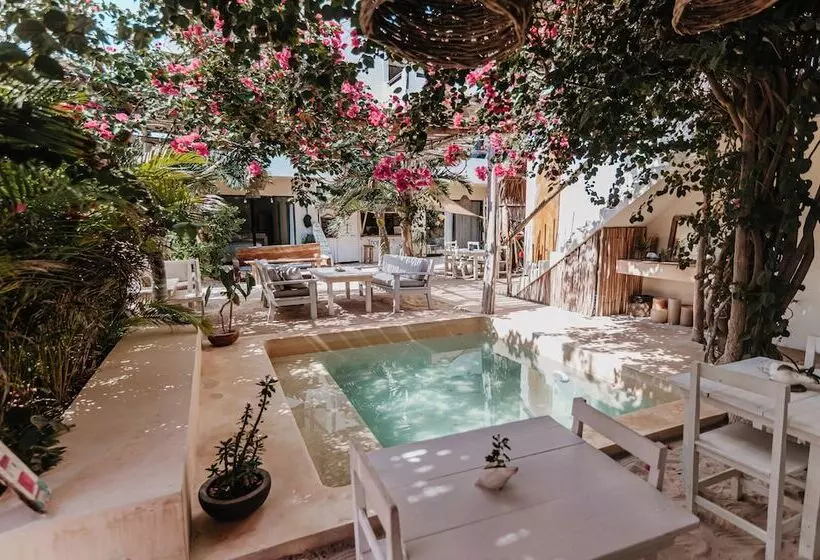 ホテル Lunarena Barefoot