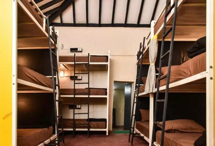 The Hosteller Goa