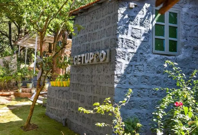 The Hosteller Goa