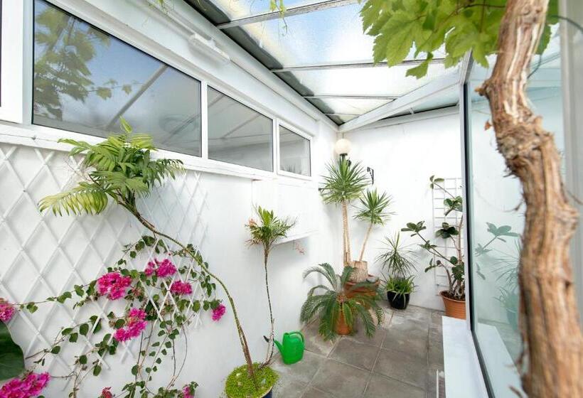 فندق صغير Yha Manorbier