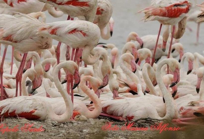 Bed And Breakfast Su Niu