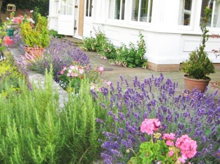 Norfolk House Bed And Breakfast