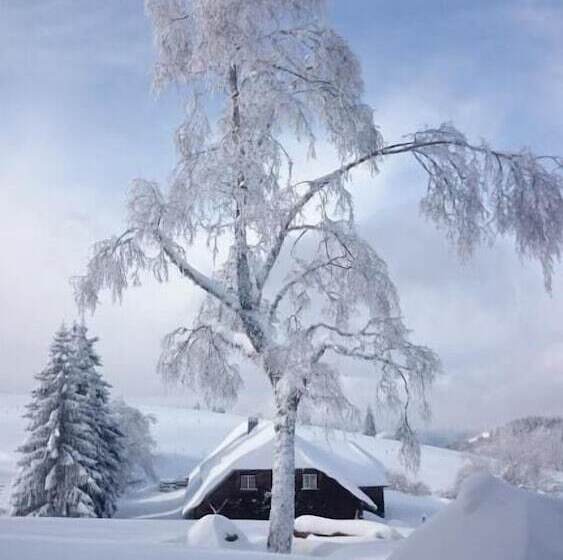 膳宿费 Berggasthaus Gisiboden