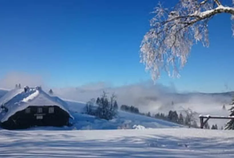 Pension Berggasthaus Gisiboden