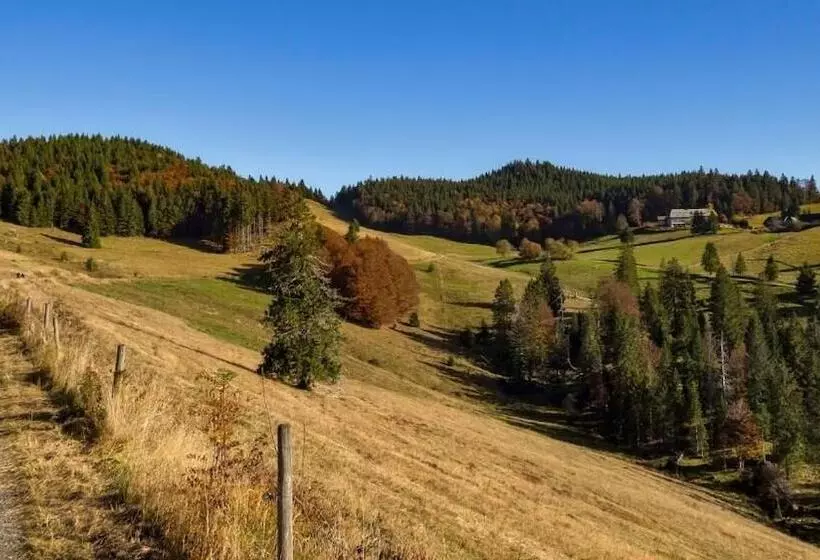 Pension Berggasthaus Gisiboden
