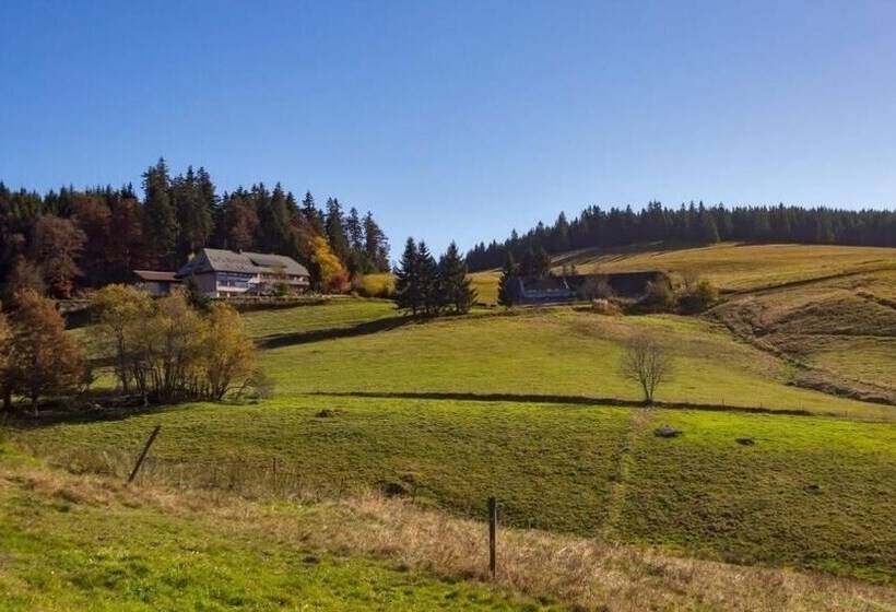 膳宿费 Berggasthaus Gisiboden