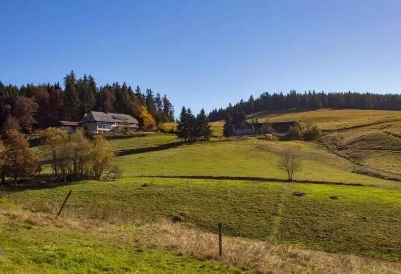 Pension Berggasthaus Gisiboden
