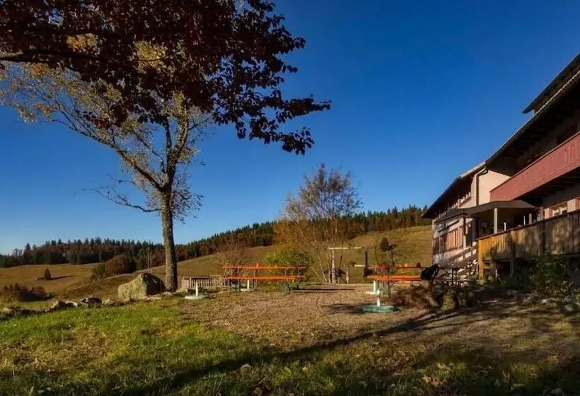 Pension Berggasthaus Gisiboden