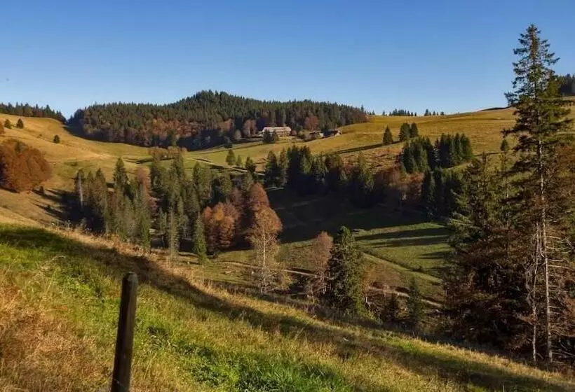 Pension Berggasthaus Gisiboden