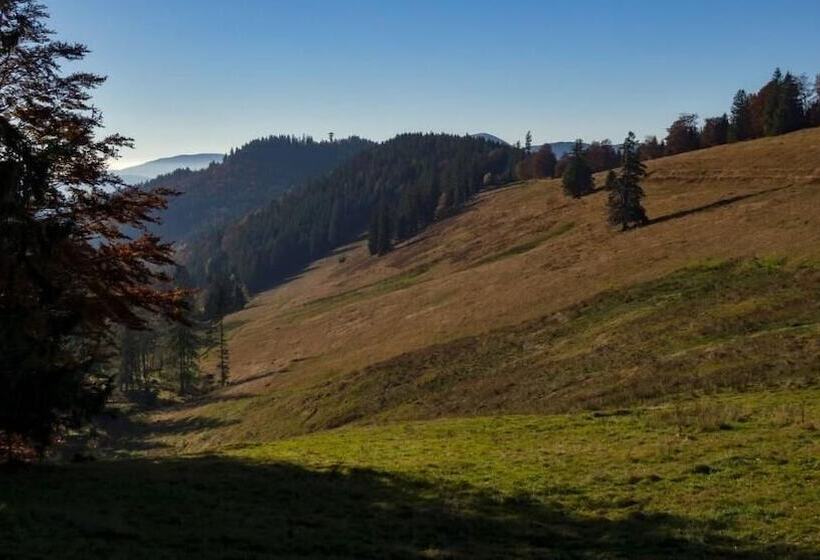 膳宿费 Berggasthaus Gisiboden