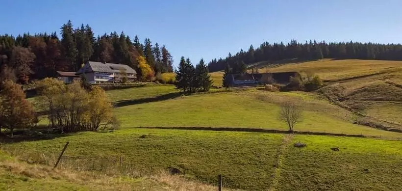 Pension Berggasthaus Gisiboden