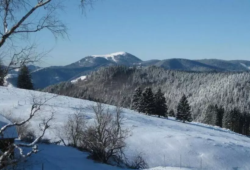 Pension Berggasthaus Gisiboden