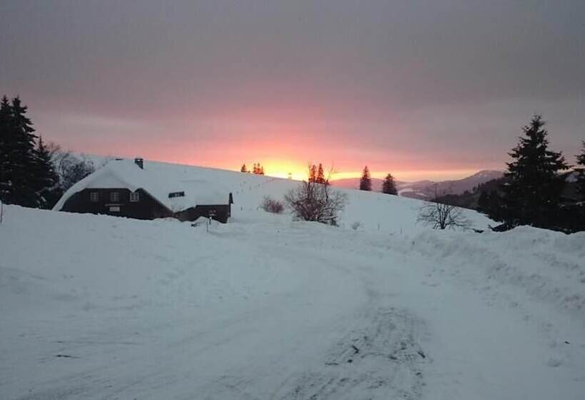 膳宿费 Berggasthaus Gisiboden