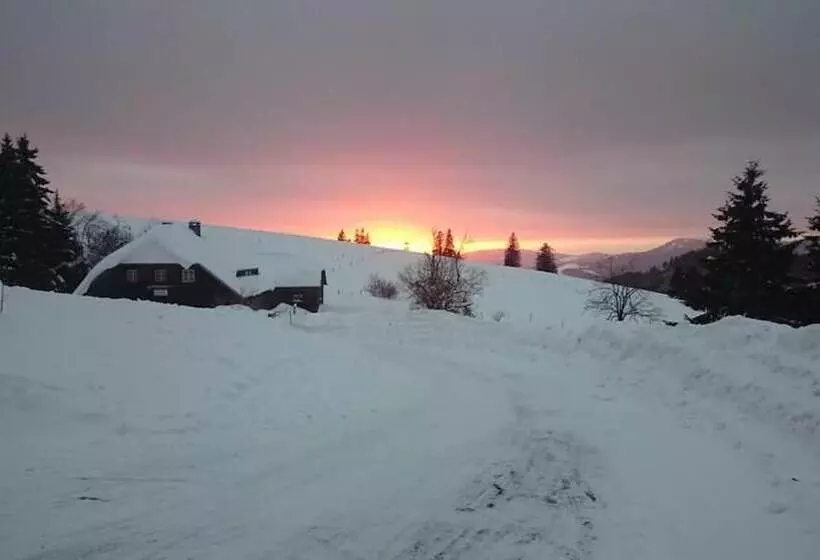 Pension Berggasthaus Gisiboden