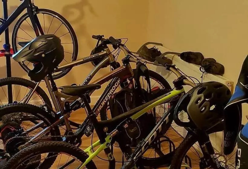 ユースホステル Celtic House