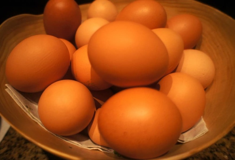 酒店 Ostaria Posta