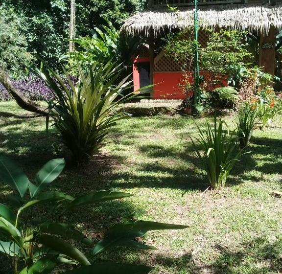 پانسیون Finca Valeria Treehouses Glamping