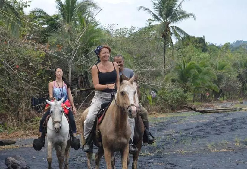 Majatalo Finca Valeria Treehouses Glamping