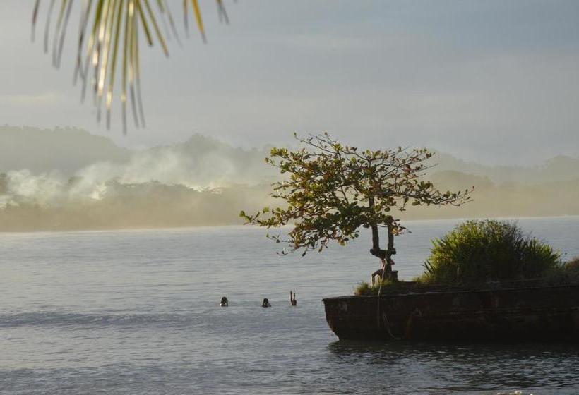 پانسیون Finca Valeria Treehouses Glamping