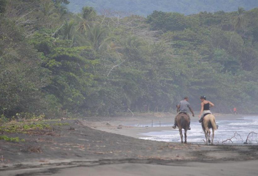پانسیون Finca Valeria Treehouses Glamping