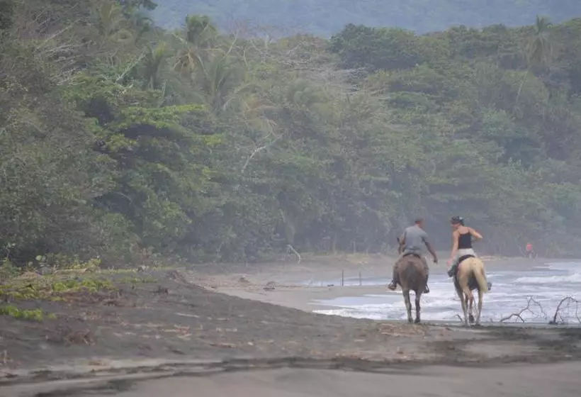 Majatalo Finca Valeria Treehouses Glamping